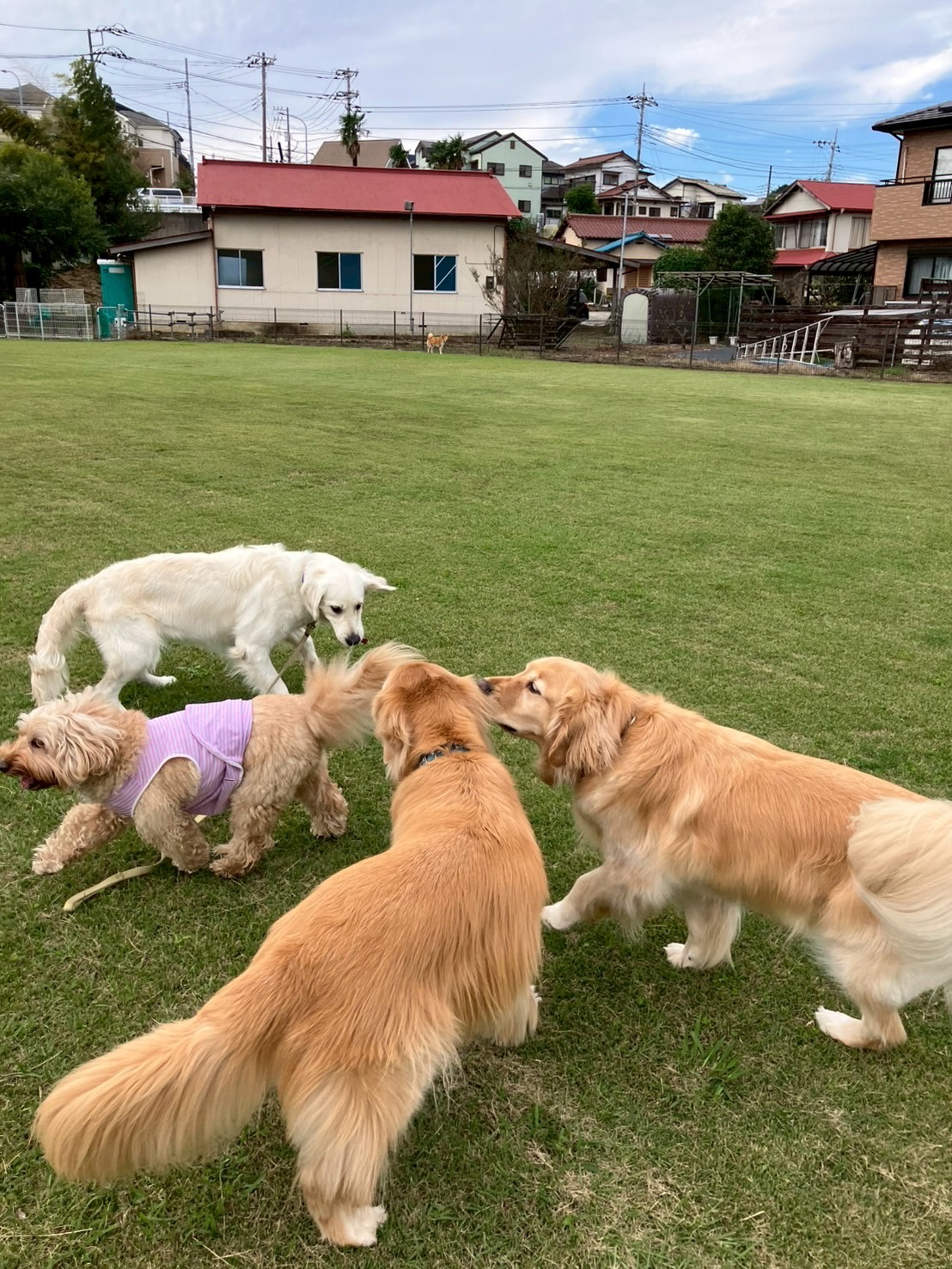 ファイル 9006-4.jpg