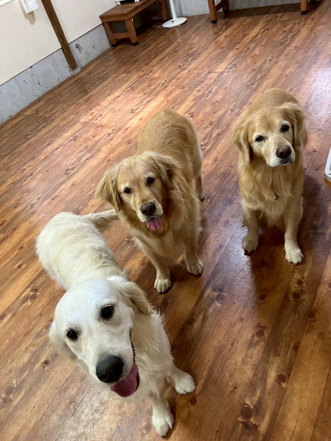 ファイル 9006-5.jpg