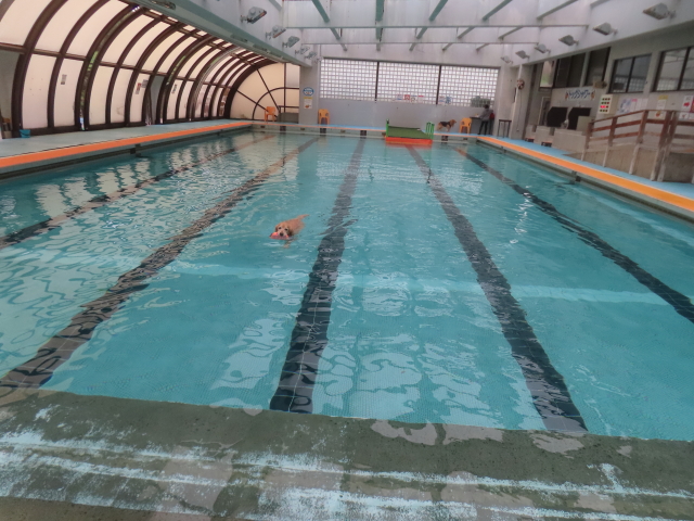 ファイル 9007-1.jpg