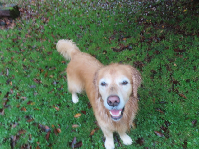 ファイル 9007-2.jpg