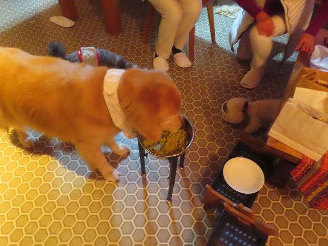 ファイル 9007-5.jpg