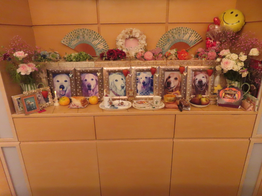 ファイル 9010-1.jpg