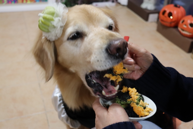 ファイル 9012-4.jpg