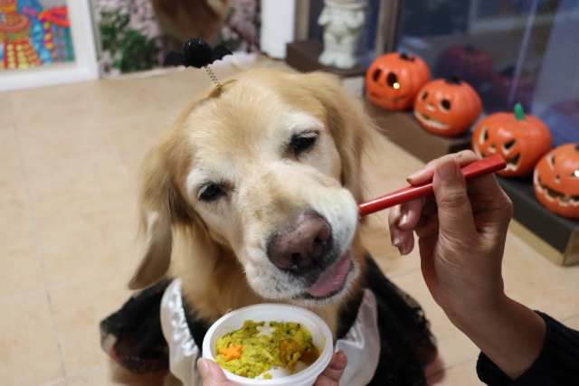 ファイル 9012-5.jpg