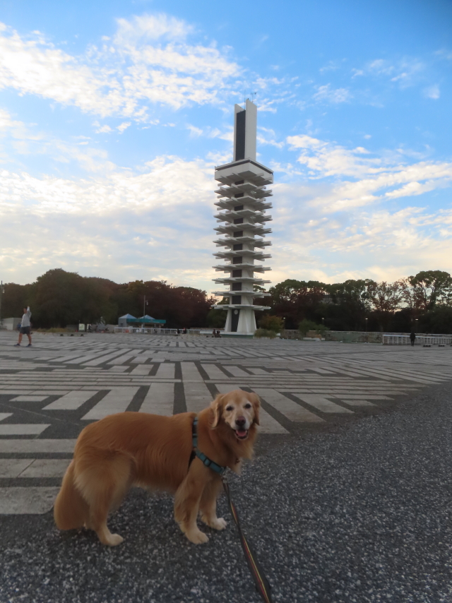 ファイル 9018-4.jpg