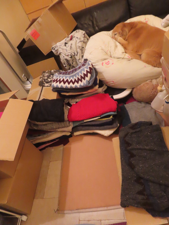 ファイル 9018-5.jpg