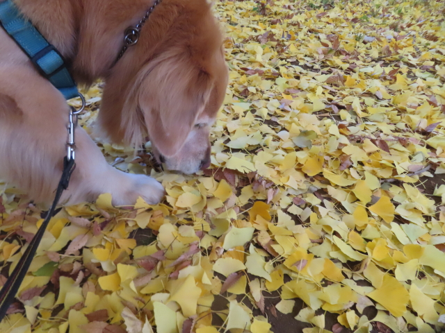 ファイル 9023-3.jpg