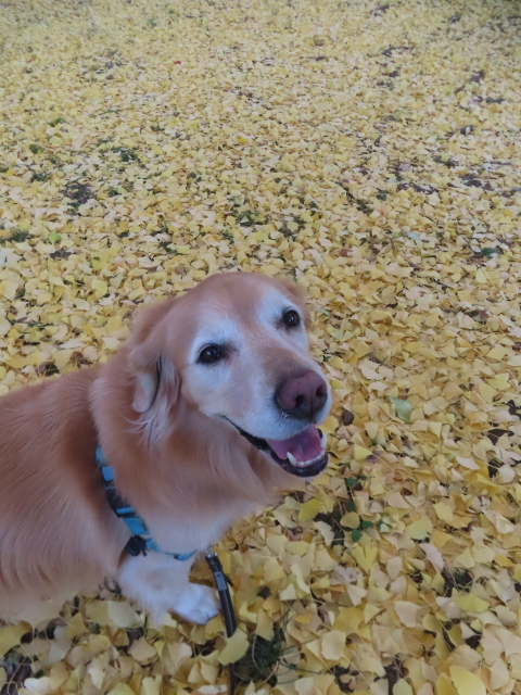 ファイル 9024-2.jpg