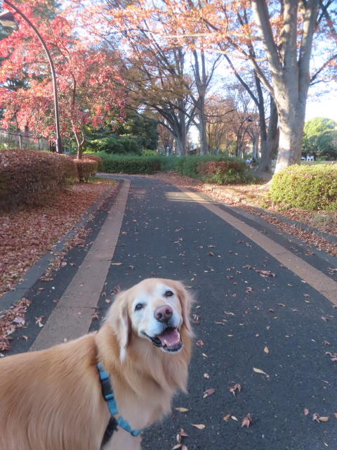 ファイル 9024-3.jpg