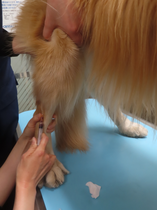 ファイル 9025-2.jpg