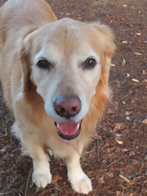 ファイル 9025-5.jpg