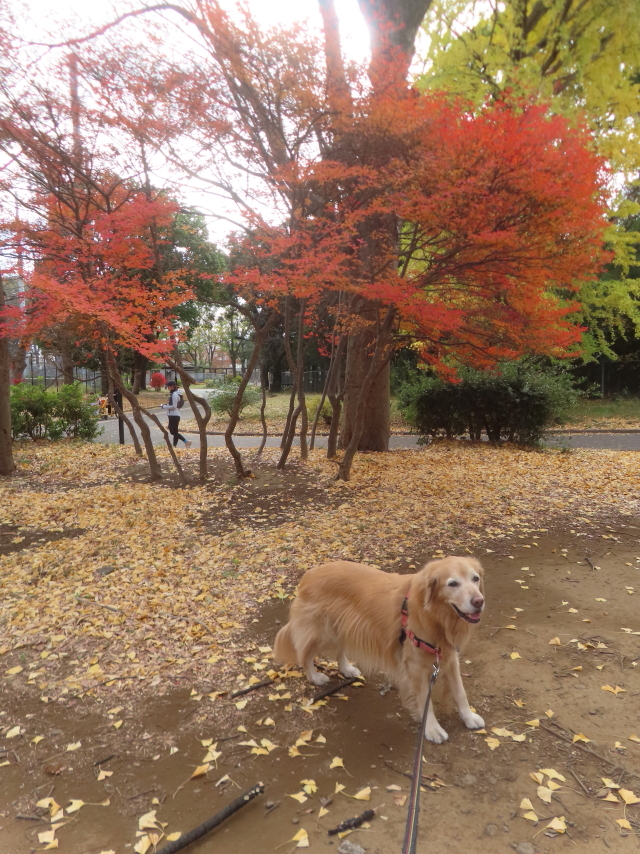 ファイル 9027-5.jpg