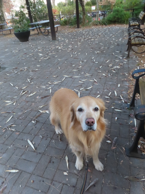 ファイル 9028-1.jpg