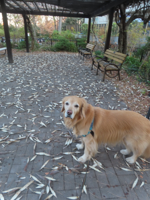 ファイル 9028-2.jpg