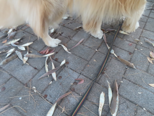 ファイル 9028-3.jpg