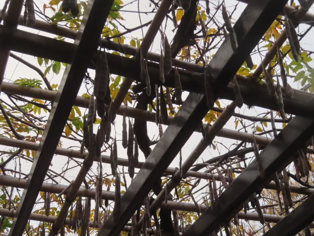 ファイル 9028-5.jpg