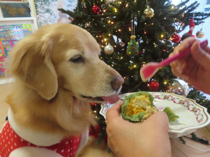 ファイル 9030-5.jpg