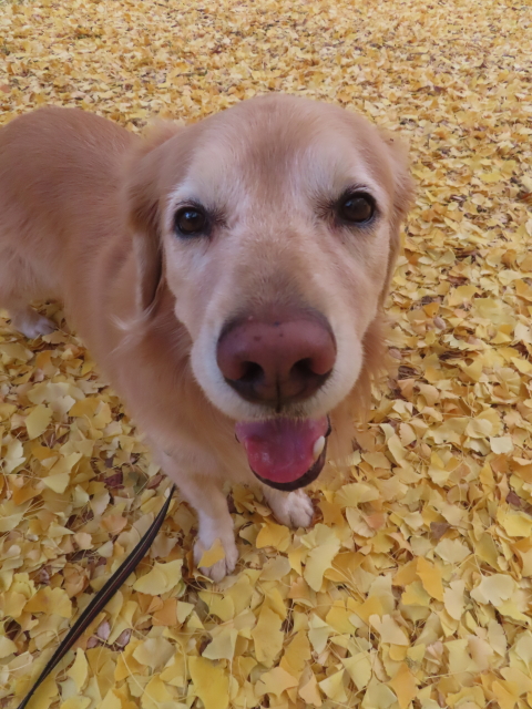 ファイル 9032-2.jpg