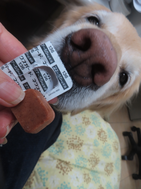 ファイル 9032-4.jpg