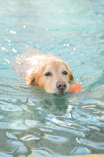 ファイル 9037-1.jpg