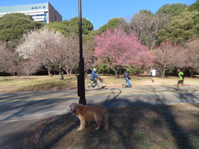 ファイル 9038-3.jpg