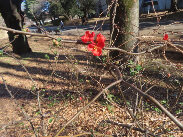 ファイル 9039-3.jpg