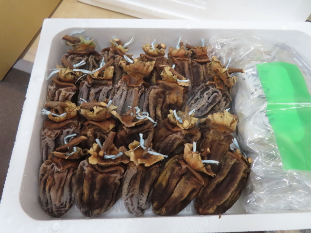 ファイル 9039-5.jpg