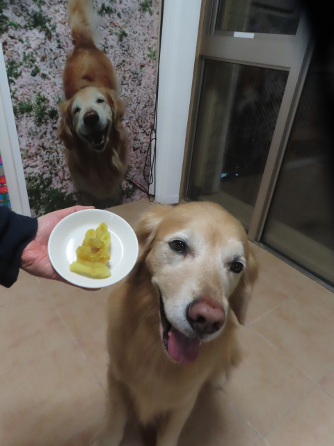 ファイル 9041-5.jpg