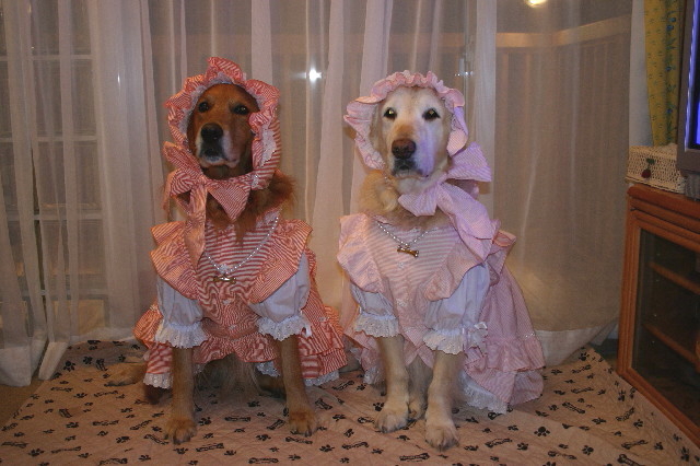 ファイル 9042-3.jpg