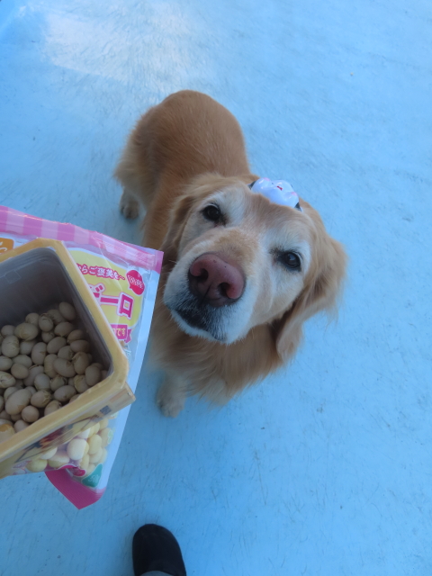 ファイル 9043-5.jpg