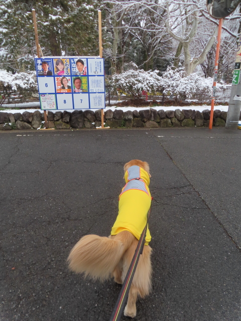 ファイル 9044-1.jpg