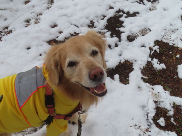 ファイル 9044-2.jpg