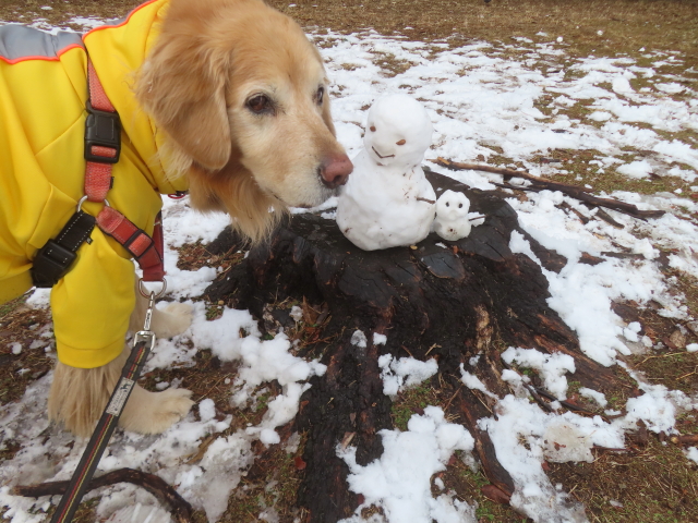 ファイル 9044-5.jpg