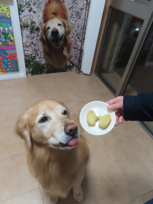 ファイル 9045-4.jpg