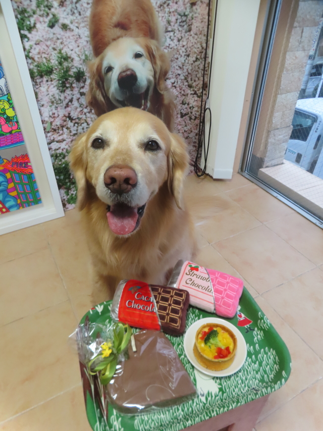 ファイル 9046-2.jpg