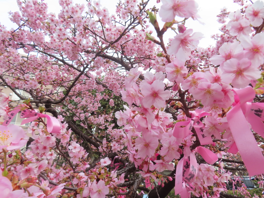 ファイル 9048-1.jpg