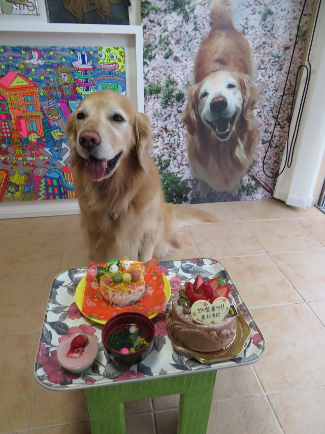 ファイル 9049-1.jpg