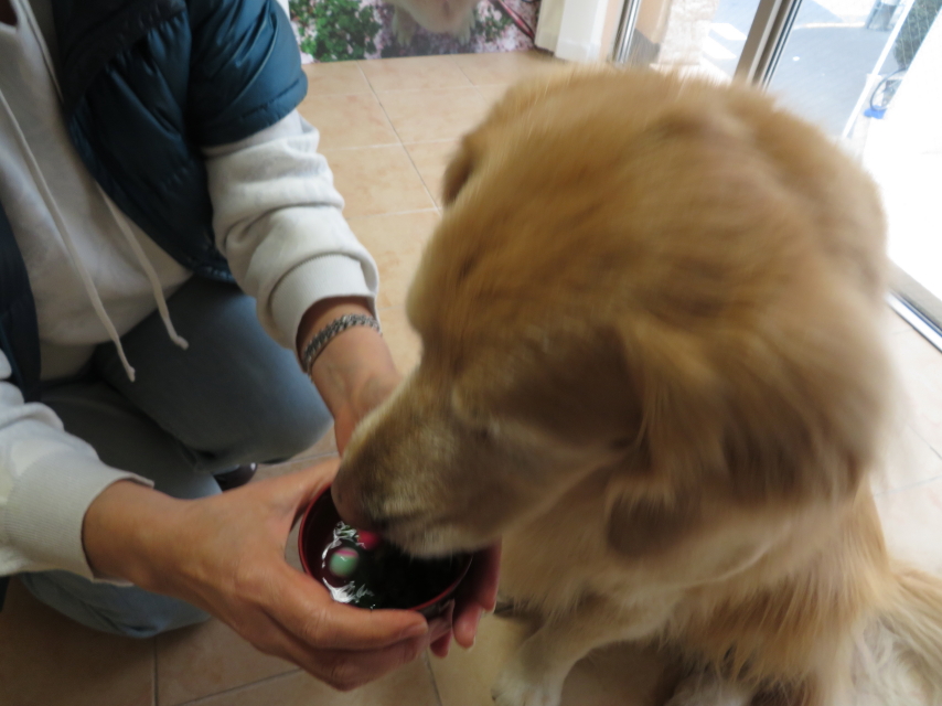 ファイル 9049-4.jpg