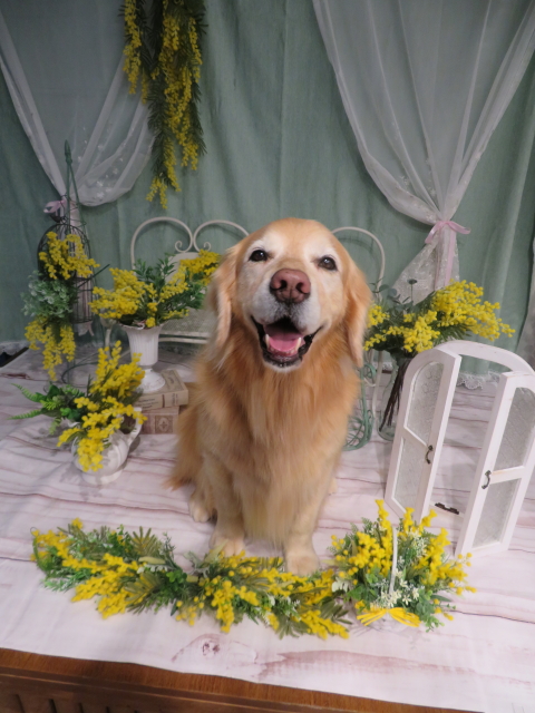 ファイル 9051-3.jpg