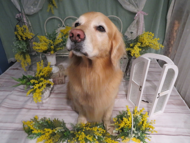 ファイル 9051-4.jpg