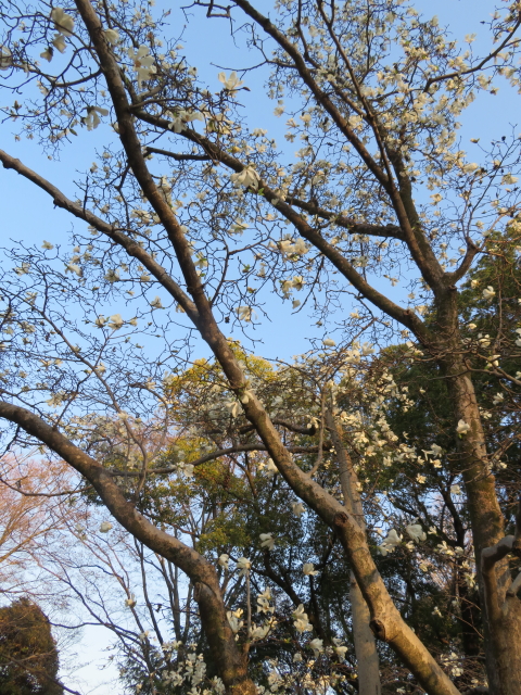 ファイル 9055-3.jpg