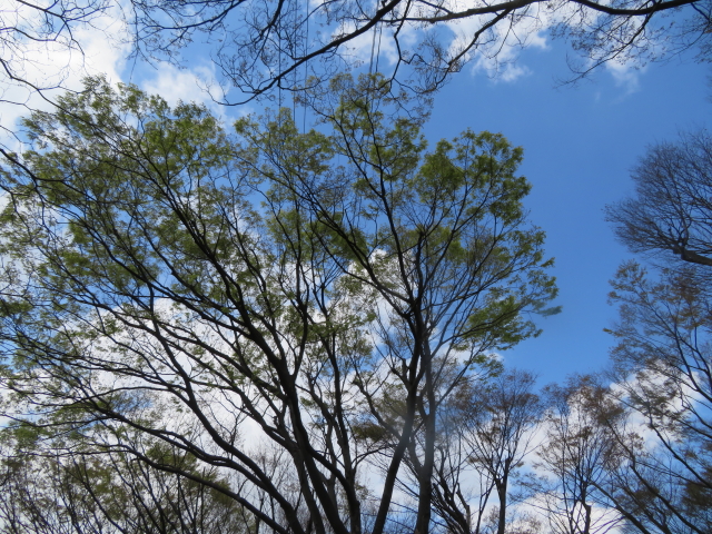 ファイル 9059-2.jpg