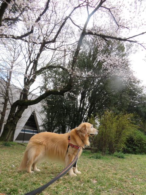 ファイル 9059-3.jpg