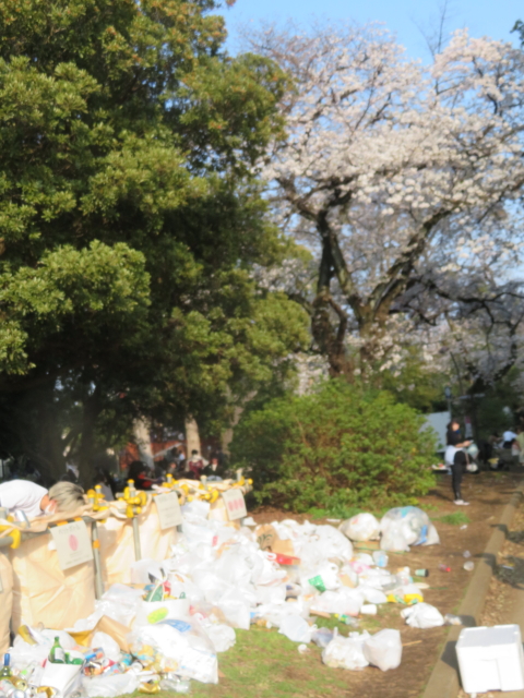 ファイル 9061-2.jpg