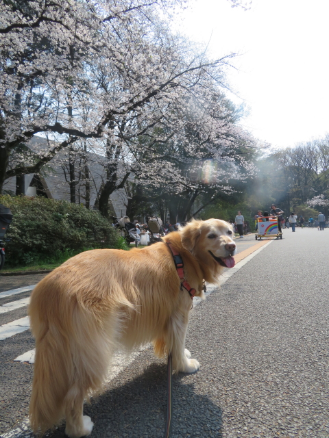 ファイル 9061-3.jpg