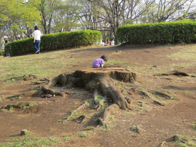 ファイル 9062-2.jpg