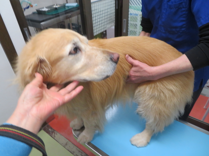 ファイル 9065-2.jpg