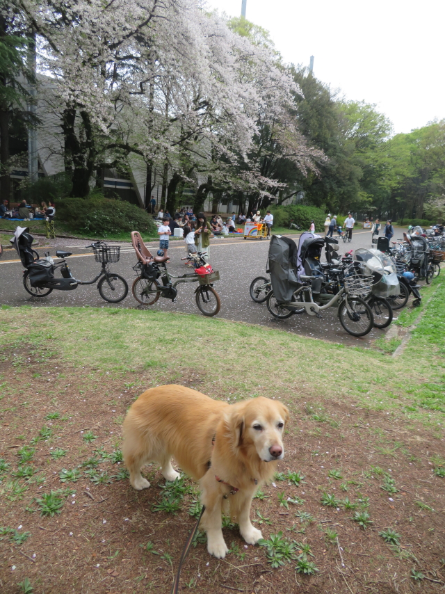 ファイル 9066-3.jpg