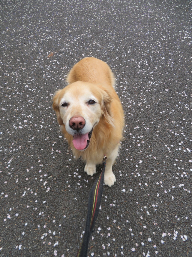 ファイル 9066-4.jpg