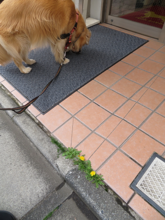 ファイル 9067-4.jpg